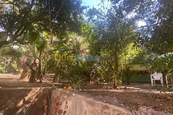 Vente Résidence de Maître 1400 m² Vue Mer Miramar Bologhine